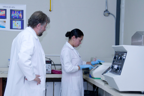 Imagen genoma- epidemiologia-virus