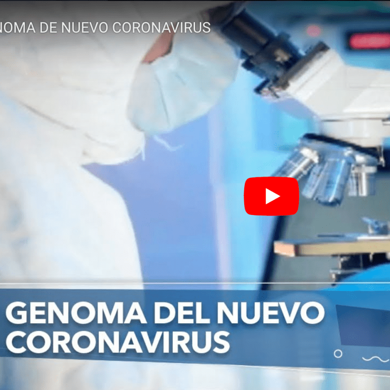 Genoma de Nuevo Coronavirus en Día a Día de&nbsp;Teleamazonas