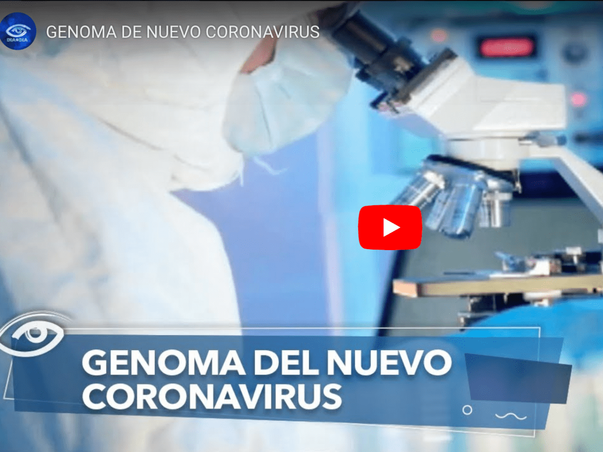 Genoma de Nuevo Coronavirus en Día a Día de&nbsp;Teleamazonas