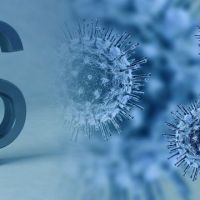 Entre la espada y la pared: Encuesta sobre el impacto del Coronavirus en&nbsp;Ecuador