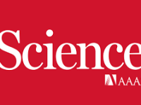 The effect of human mobility and control measures on the COVID-19 epidemic in&nbsp;China