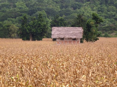 Acciones de prevencion y monitoreo de la pandemia COVID-19 en Chirihuasi, El Abra y&nbsp;Cashaloma