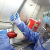 El Instituto de Microbiología USFQ confirma el primer caso de reinfección de covid-19 en&nbsp;Ecuador